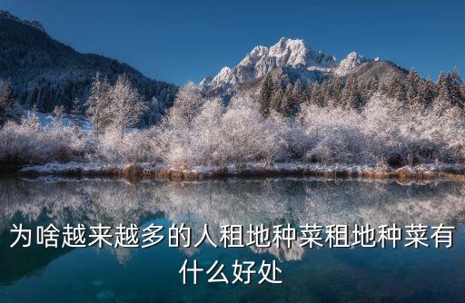 農(nóng)村不打農(nóng)藥的地方叫什么,農(nóng)村打農(nóng)藥的噴霧器