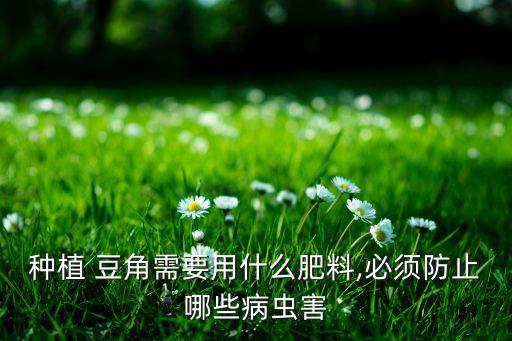 用什么農藥噴豆角苗根,什么農藥對豆角有害