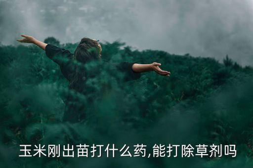 玉米對什么農藥比較敏感,玉米治蟲用什么農藥好