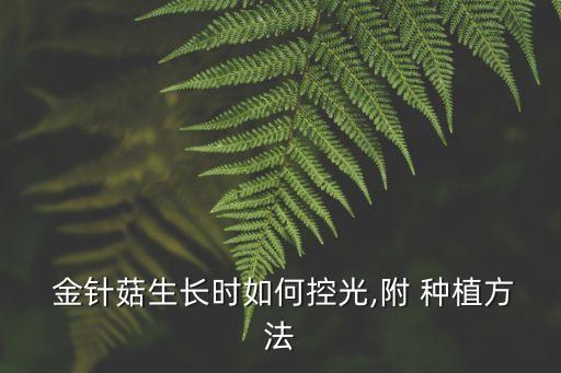 種植金針菇用什么農藥最好,金針菇種植過程中有沒有噴農藥