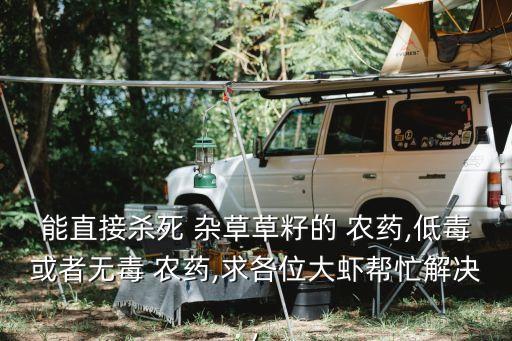 橙子有雜草用什么農藥打,橙子保果用什么農藥