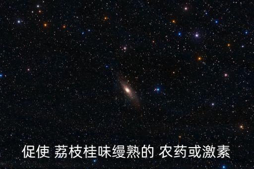 促使 荔枝桂味縵熟的 農藥或激素