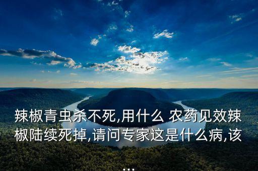 辣椒青蟲殺不死,用什么 農藥見效辣椒陸續死掉,請問專家這是什么病,該...