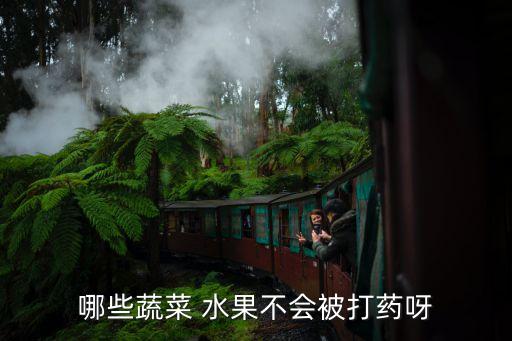 哪些蔬菜 水果不會被打藥呀