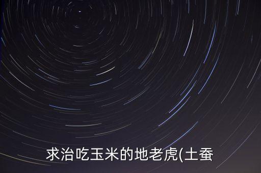 求治吃玉米的地老虎(土蠶
