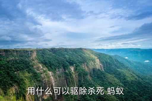 螞蟻要用什么農藥最好,地下害蟲螞蟻的最好農藥