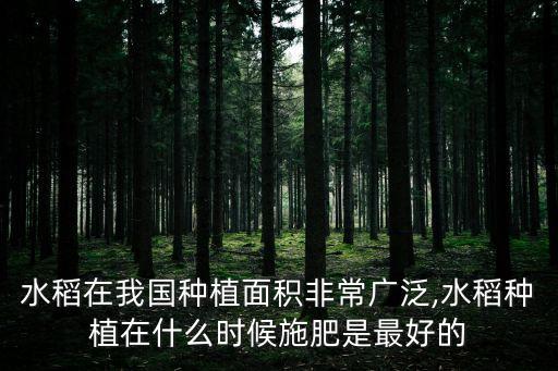 水稻在我國種植面積非常廣泛,水稻種植在什么時候施肥是最好的