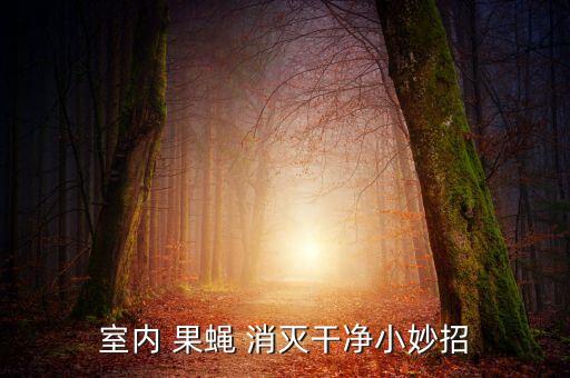 消滅果蠅用什么農(nóng)藥好,什么農(nóng)藥殺死果蠅