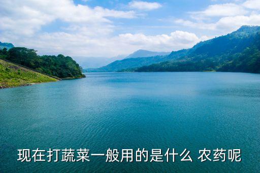現(xiàn)在打蔬菜一般用的是什么 農(nóng)藥呢
