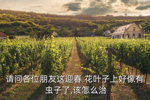 請問各位朋友這迎春 花葉子上好像有 蟲子了,該怎么治