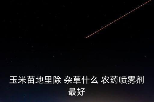 玉米苗地里除 雜草什么 農(nóng)藥噴霧劑最好