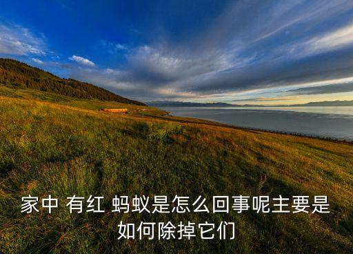 房間有紅螞蟻用什么農藥,地里紅螞蟻用什么農藥