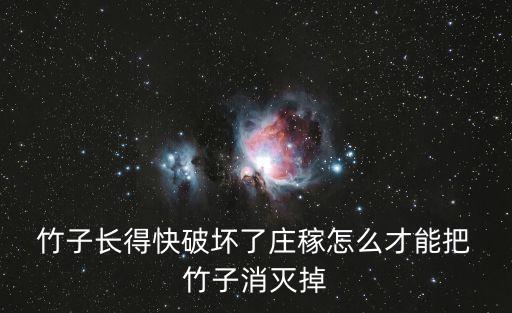 竹子長得快破壞了莊稼怎么才能把 竹子消滅掉