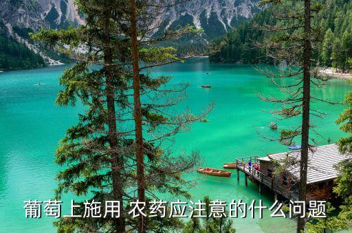 農藥助劑字母代表什么,農藥什么助劑滲透效果最好