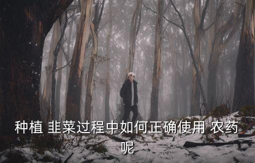 韭菜與農藥有什么關系,韭菜上的農藥用什么泡