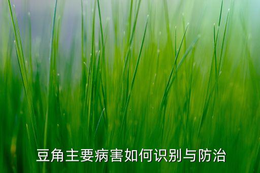 ,豆角病毒病打什么農藥