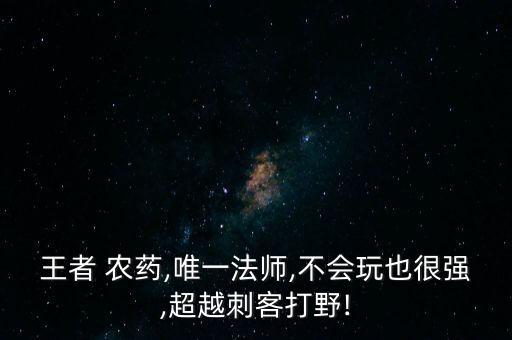 王者 農藥,唯一法師,不會玩也很強,超越刺客打野!