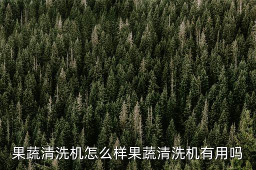 果蔬清洗機(jī)怎么樣果蔬清洗機(jī)有用嗎