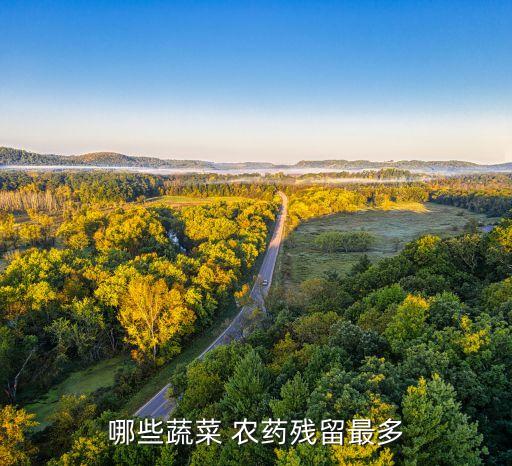 宇子用什么農(nóng)藥,什么農(nóng)藥無(wú)色無(wú)味