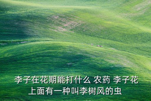 李子在花期能打什么 農藥 李子花上面有一種叫李樹風的蟲