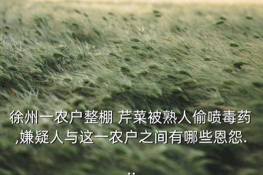 ,記者調查芹菜打什么農藥