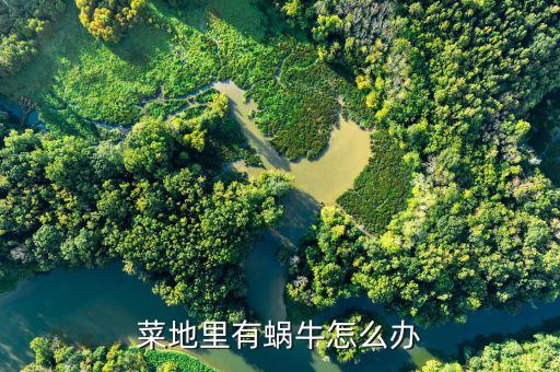 窩牛最怕什么農藥,洋辣子怕什么農藥