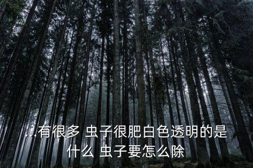 柏樹上有蟲子打什么農(nóng)藥