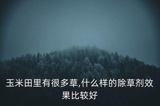 農(nóng)田種什么農(nóng)藥好賣一點(diǎn)