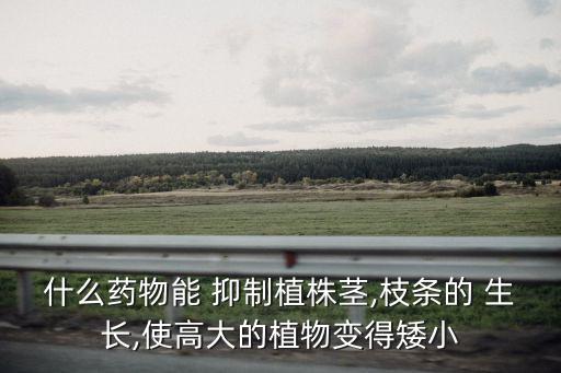 葉片上的蟲子用什么農藥,什么農藥能抑制葉片生長