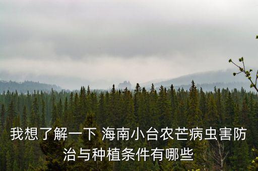 我想了解一下 海南小臺農芒病蟲害防治與種植條件有哪些