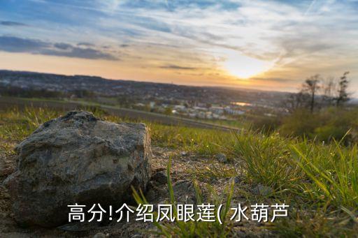 治理農田水葫蘆用什么農藥,什么農藥可以殺死水葫蘆