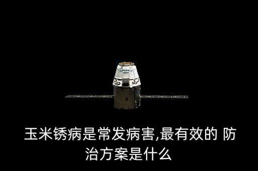 防治玉米銹病的首選農(nóng)藥,什么農(nóng)藥防治玉米