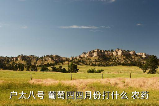 夏天的葡萄用什么農藥好,葡萄對什么說他是夏天