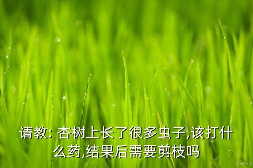 什么農(nóng)藥能殺死大杏樹,蝸牛用什么農(nóng)藥可以殺死