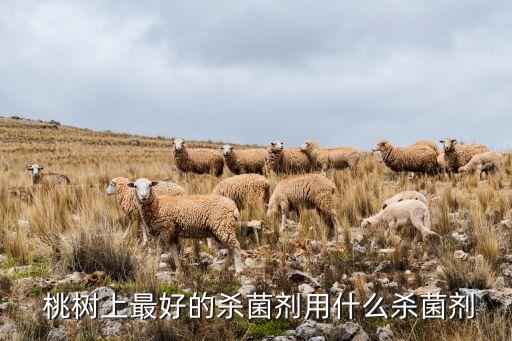  桃樹上最好的殺菌劑用什么殺菌劑