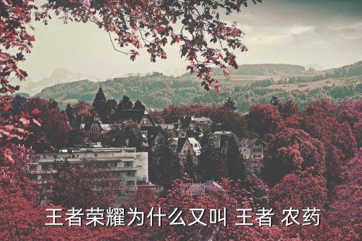 王者農藥以前是什么歌