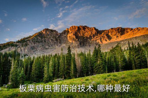 種植板栗用什么農藥,山西什么地方種植板栗