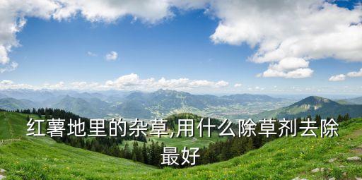 紅薯要噴什么農藥呢,栽紅薯可以用什么農藥