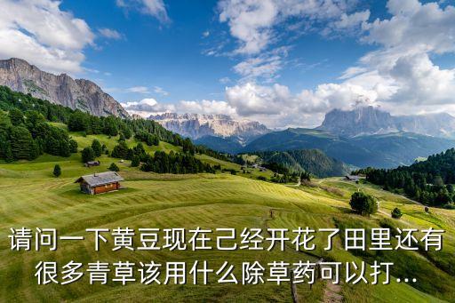 請問一下黃豆現在己經開花了田里還有很多青草該用什么除草藥可以打...