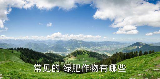 綠肥施什么農(nóng)藥好