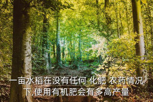 沒化肥農藥的他叫什么,無化肥農藥的食品叫什么