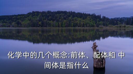 化學(xué)中的幾個概念:前體、配體和 中間體是指什么