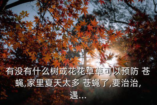 旱廁蒼蠅用什么農藥,旱廁放什么就沒有蒼蠅了