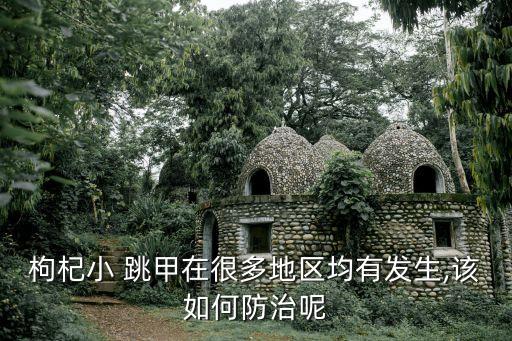 跳甲最討厭什么農藥,什么農藥專治跳甲