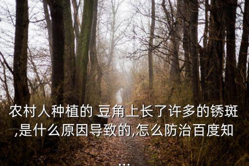 農村人種植的 豆角上長了許多的銹斑,是什么原因導致的,怎么防治百度知...