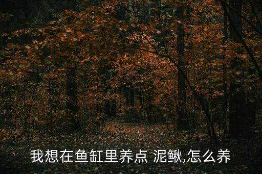 我想在魚缸里養點 泥鰍,怎么養