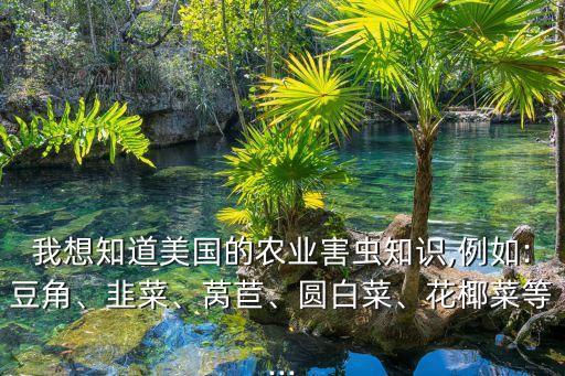 什么農藥打黃粉蚜,黃粉蚜要用什么藥