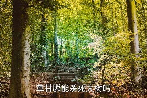 花草樹木用什么農藥,和花草樹木在一起,我們要注意什么?