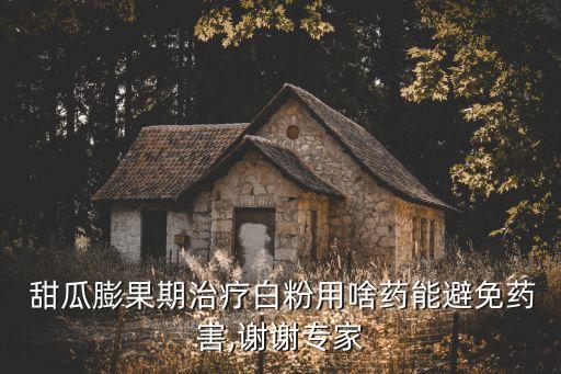 甜瓜什么農(nóng)藥不能用,甜瓜和什么不能一起吃