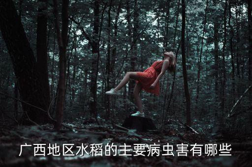 廣西地區水稻的主要病蟲害有哪些